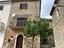 Immagine 10