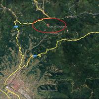 Bosco con appostamento di caccia al colombaccio