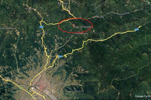 Bosco con appostamento di caccia al colombaccio