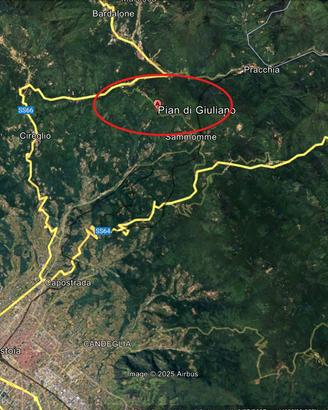 Bosco con appostamento di caccia al colombaccio