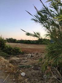 Terreno di 7500 m² a Mondragone