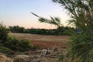 Terreno di 7500 m² a Mondragone