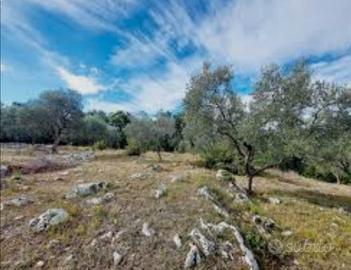 Terreno agricolo