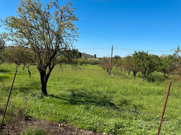 Terreno in contrada albana