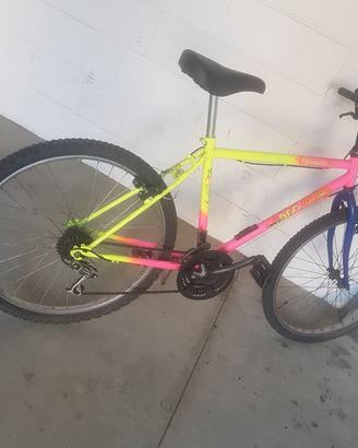 Bicicletta da ragazzi, ruote da D 26 pollici 