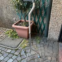 Quadrupede ausilio passeggio anziani