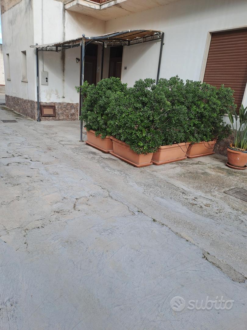 Appartamento – TP - Vista 4