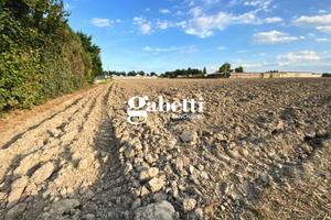 Terreno Agricolo San Pietro Viminario