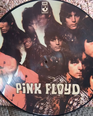 Pink floyd Picture disc.