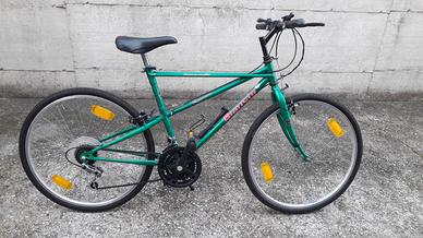 Montanbike Bianchi anni 90