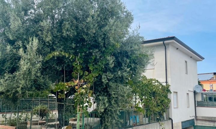 Appartamento in villa bifamiliare