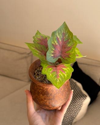 Pianta artificiale decorativa