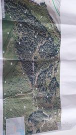 Terreno agro di Laurenzana