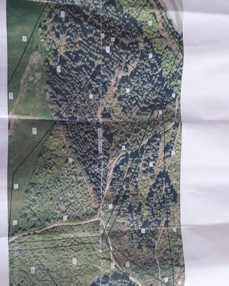 Terreno agro di Laurenzana