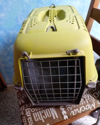 trasportino gatto 