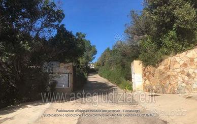Terreno Agricolo Arzachena [A4351678]