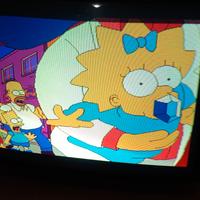 monitor Hantarex dual frequency 28"