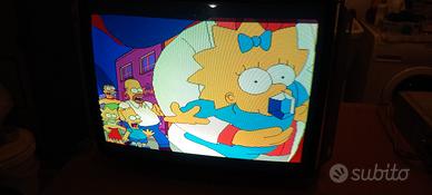 monitor Hantarex dual frequency 28"