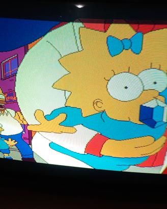 monitor Hantarex dual frequency 28" + 2 chassis