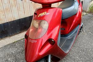 Malaguti F10 Jet Line 1993, Libretto piccolo