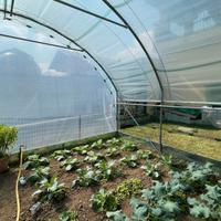 dal 1966 SERRE TUNNEL