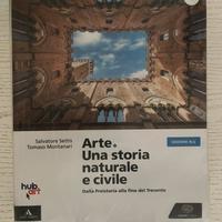 Libro di Arte “Arte, una storia naturale e civile”