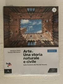 Libro di Arte “Arte, una storia naturale e civile”