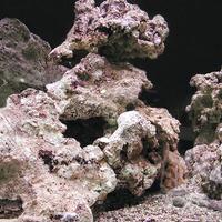 Rocce vive per acquario marino