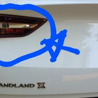 fanale posteriore sinistro Grandlad X