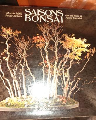 Libro Bonsai.
