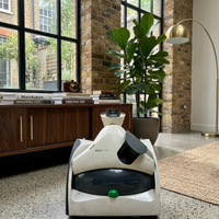 Spazzola Battitappeto Folletto SP530