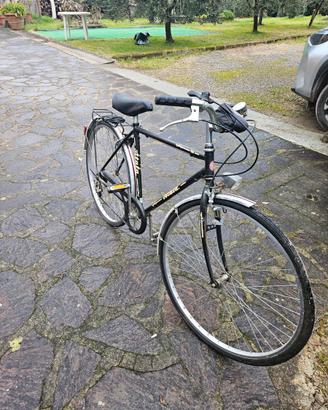Bicicletta da uomo