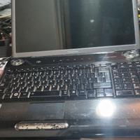 2909-PC Portatile Toshiba Satellite P300-160