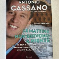 Le mattine non servono a niente - Antonio Cassano