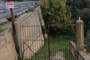 Terreno / Uliveto