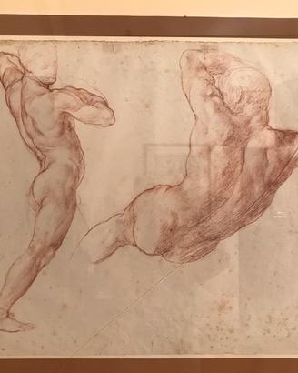 Adolfo de Carolis, sanguigna su carta