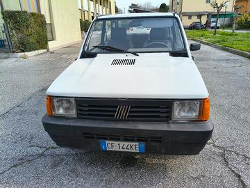 Panda 1.1 young 2003