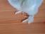 Immagine 4