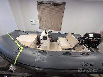 tender con pilotina 310nuova jolly20 cv mercury