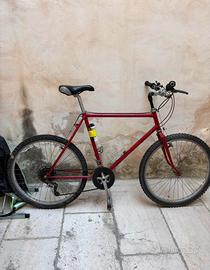 Mountain Bike usata - Perfettamente funzionante