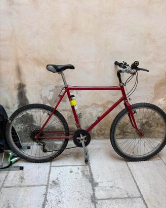 Mountain Bike usata - Perfettamente funzionante