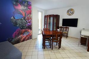 Appartamento - Cupra Marittima