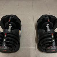 Manubri Regolabili BowFlex 40Kg + Panca UltraSport