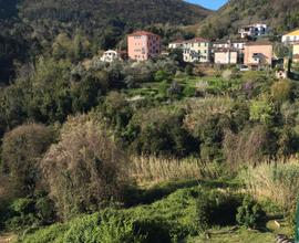 Casa Gioele nel Borgo di Ameglia