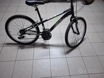 Bicicletta