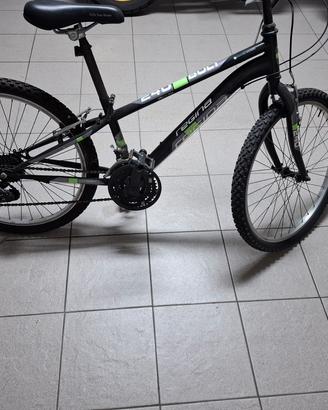 Bicicletta