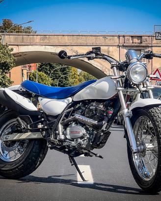 Skyteam V-Raptor 250