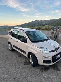 panda 1000cc