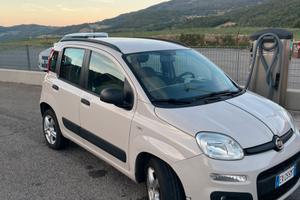 panda 1000cc