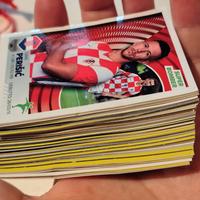 figurine panini "UNICI  in un gioco di squadra" 